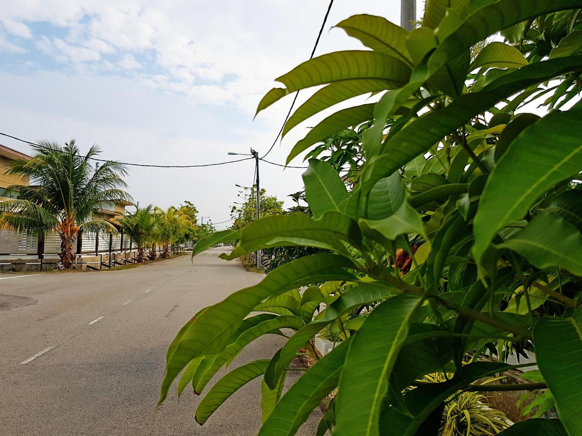Rumah tetamu Siantan In Paya Rumput Near Std Hang Jebat, Sg Udang & Uitm Lendu